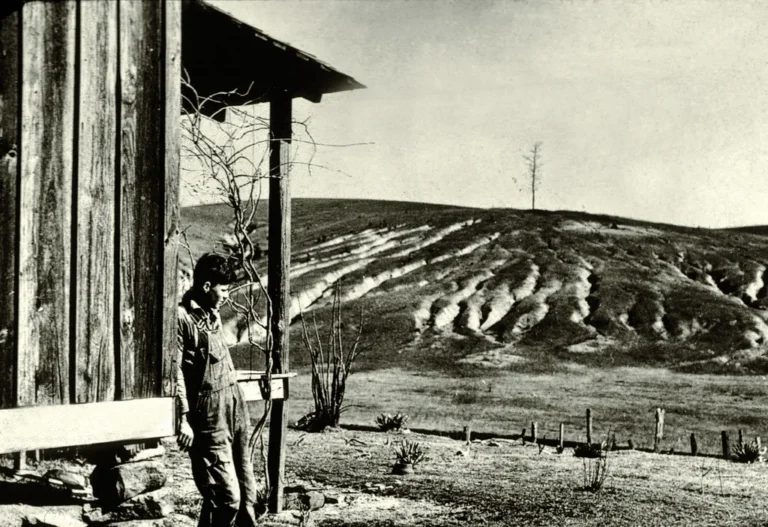 How to Prevent Soil Erosion