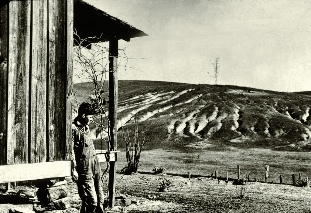How to Prevent Soil Erosion