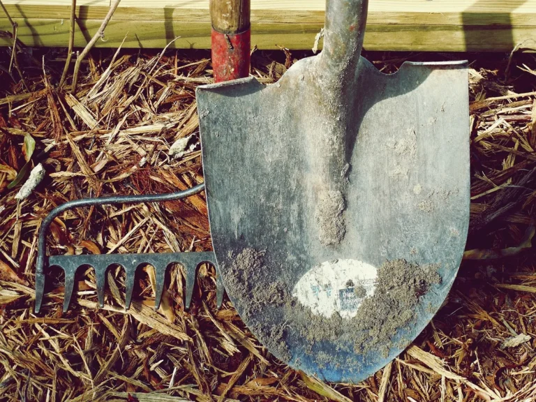How to Prevent Weeds Naturally