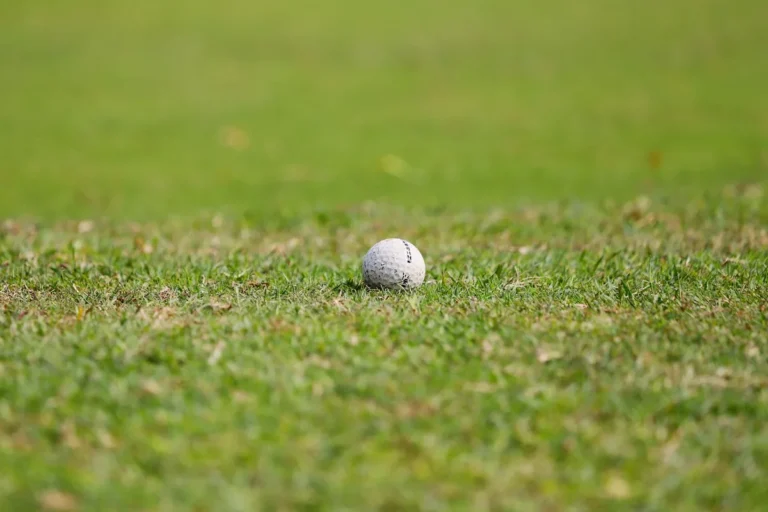 How to Repair Bare Lawn Spots