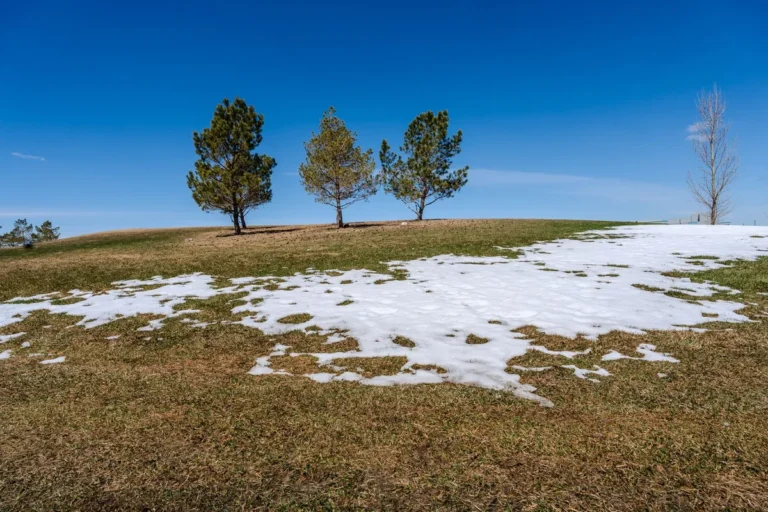 How to Repair Lawn After Winter