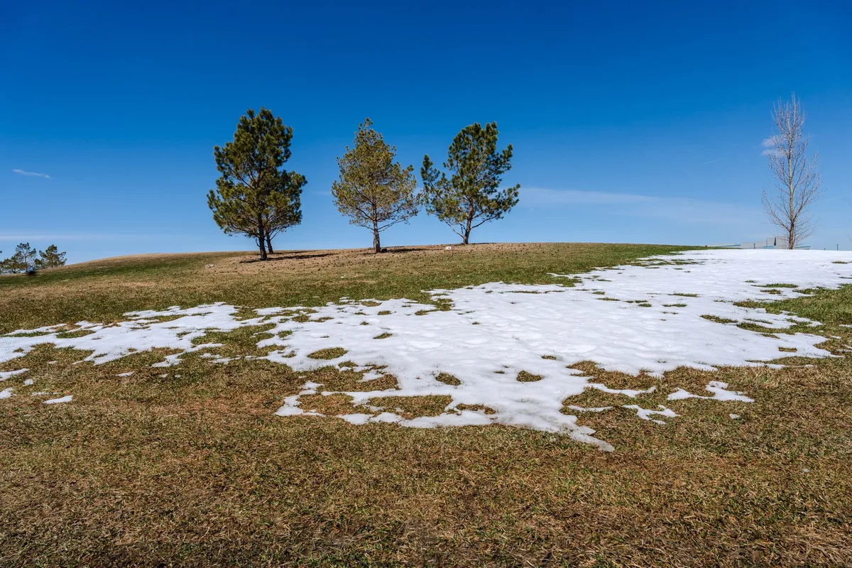 How to Repair Lawn After Winter