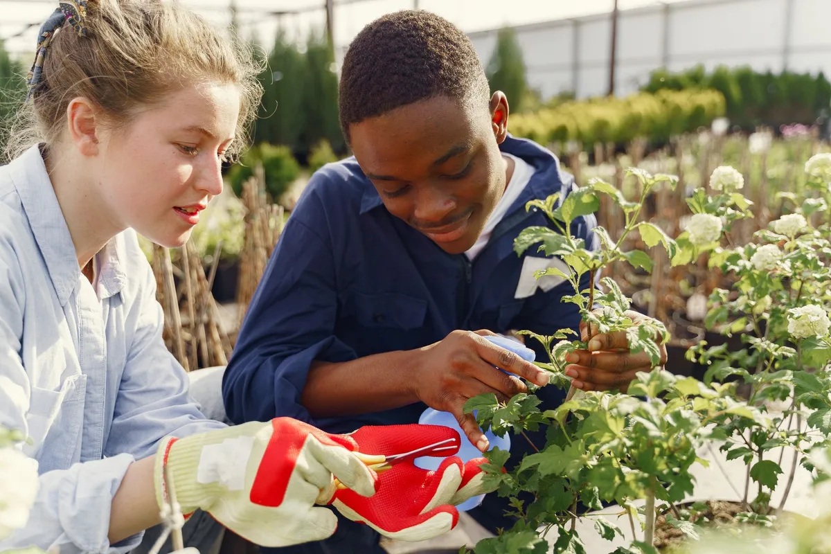 How to Sanitize Garden Tools