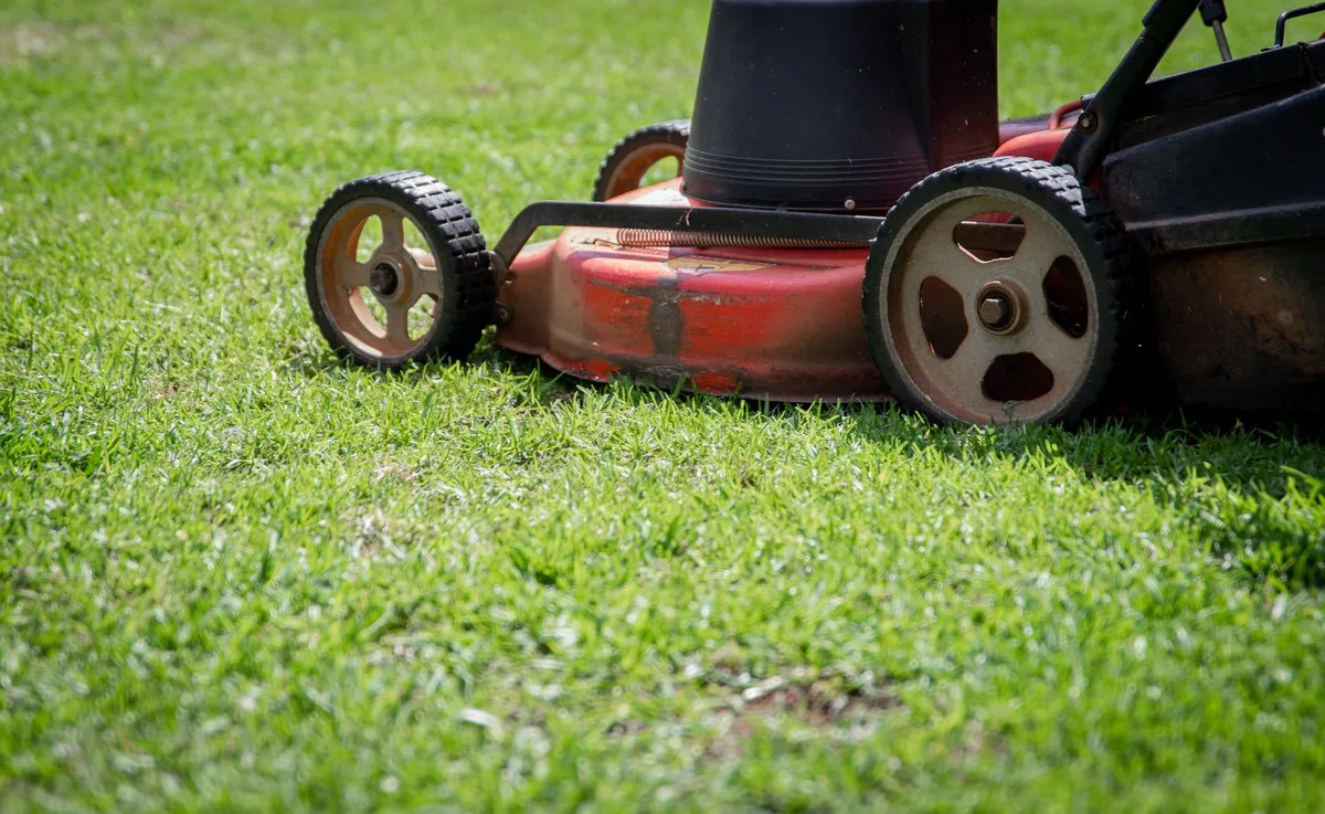How to Save Money on Lawn Care