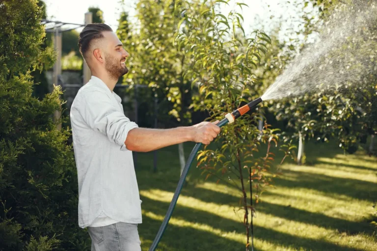 How to Stop Fleas in the Yard