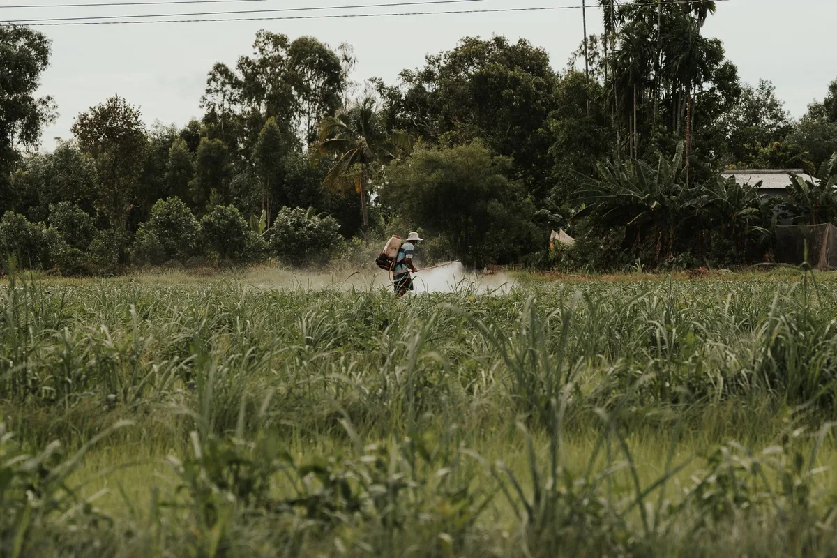 hydroseeding