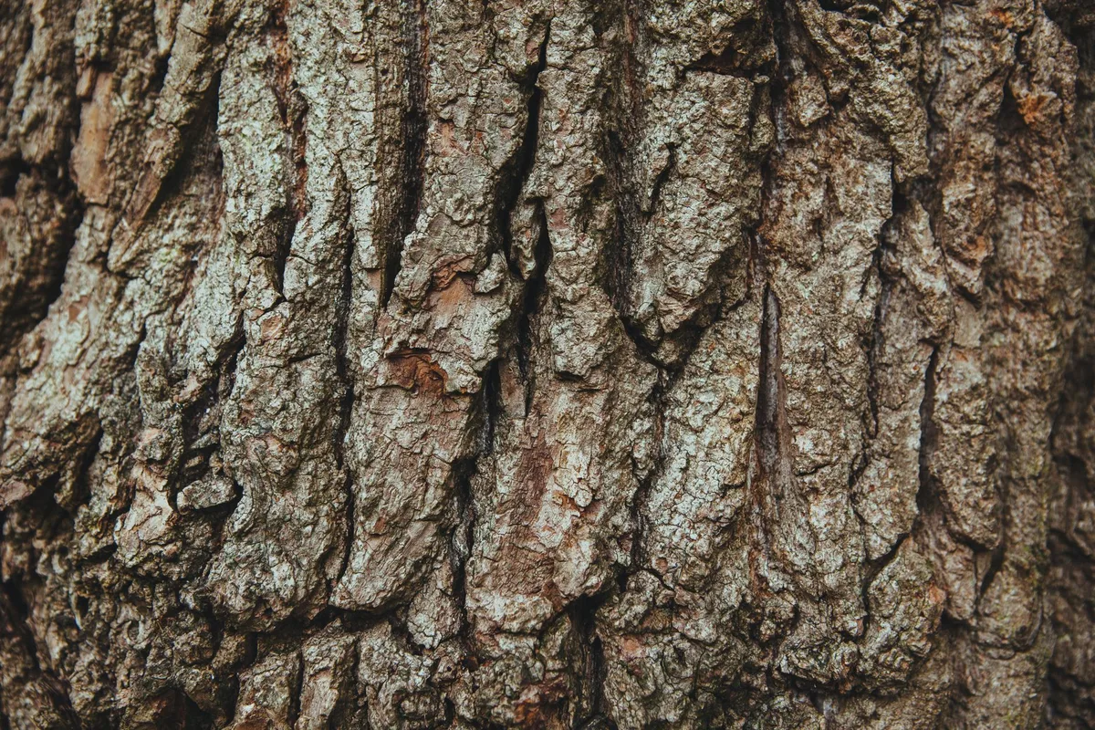 included bark branch attachment
