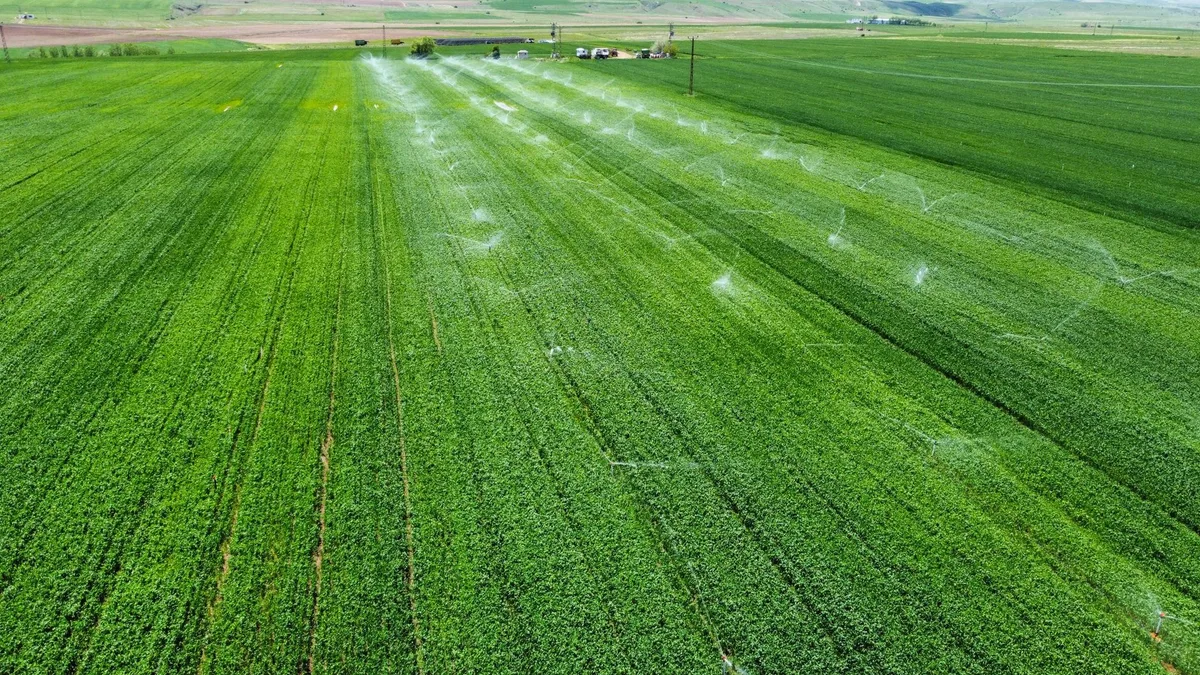 integrated weed control case study timeline