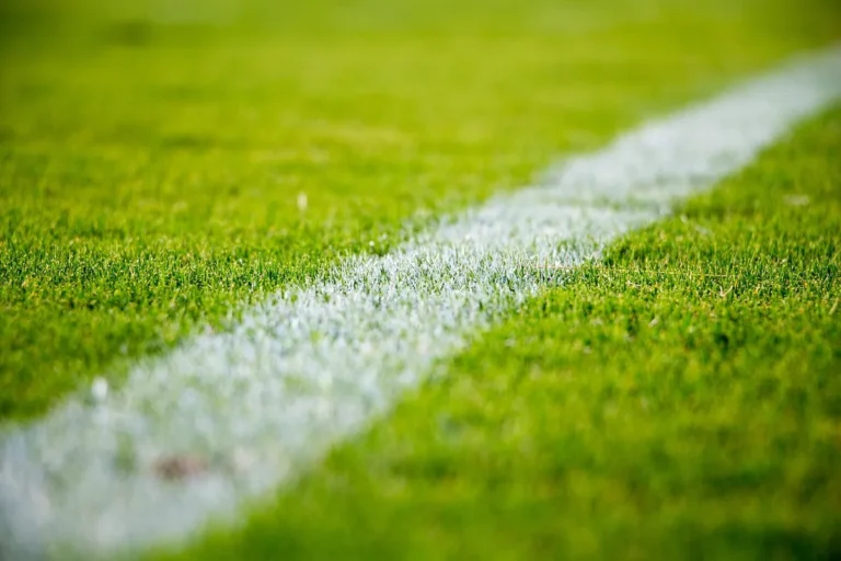 Is grass growth safe