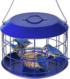 Kingsyard Bluebird Feeders Outdoors Hanging