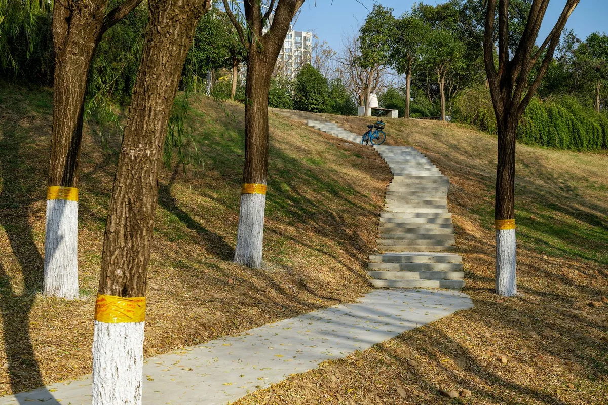 landscape fabric installation
