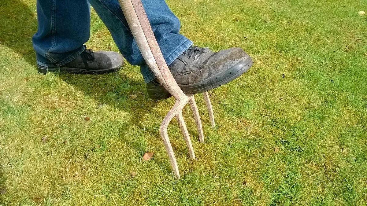 lawn aerator in action