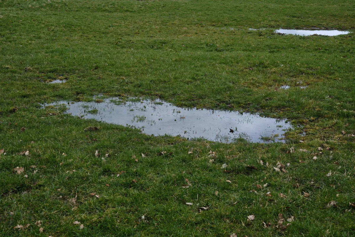 lawn core aeration drainage improvement