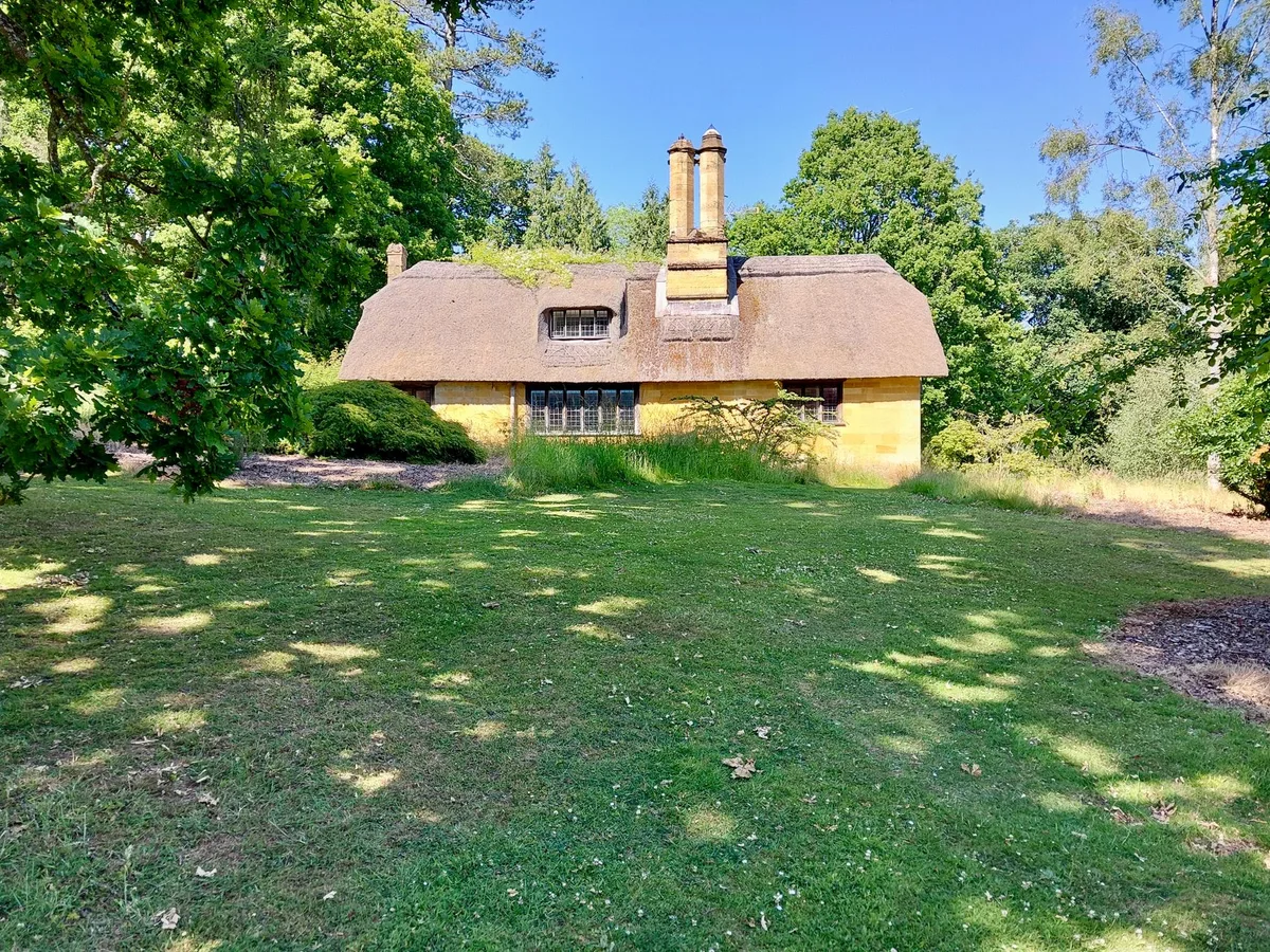 lawn thatch layer problem
