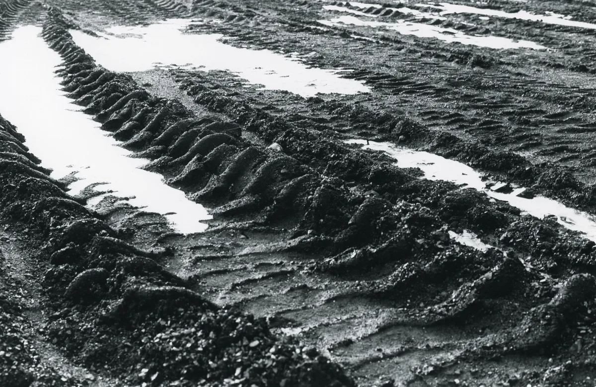 lawn tire ruts wet mower damage