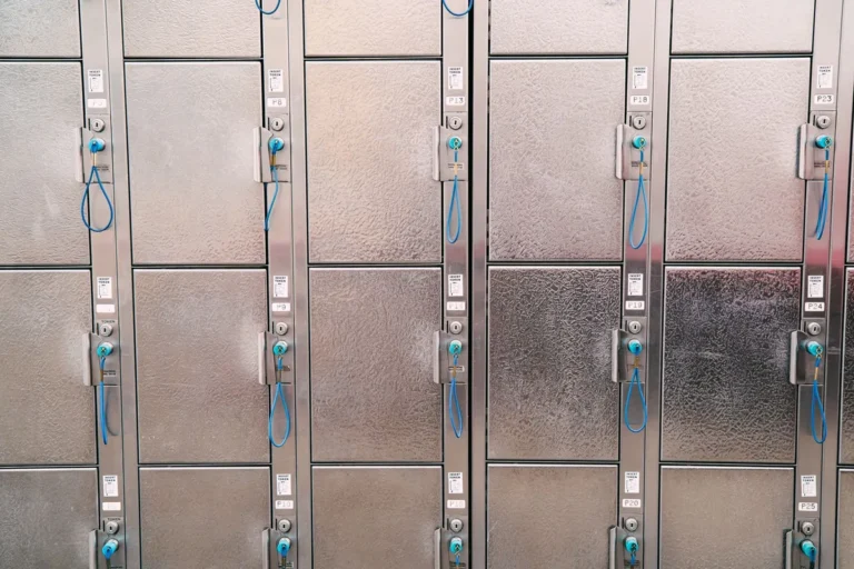 lockable garden chemical storage cabinet