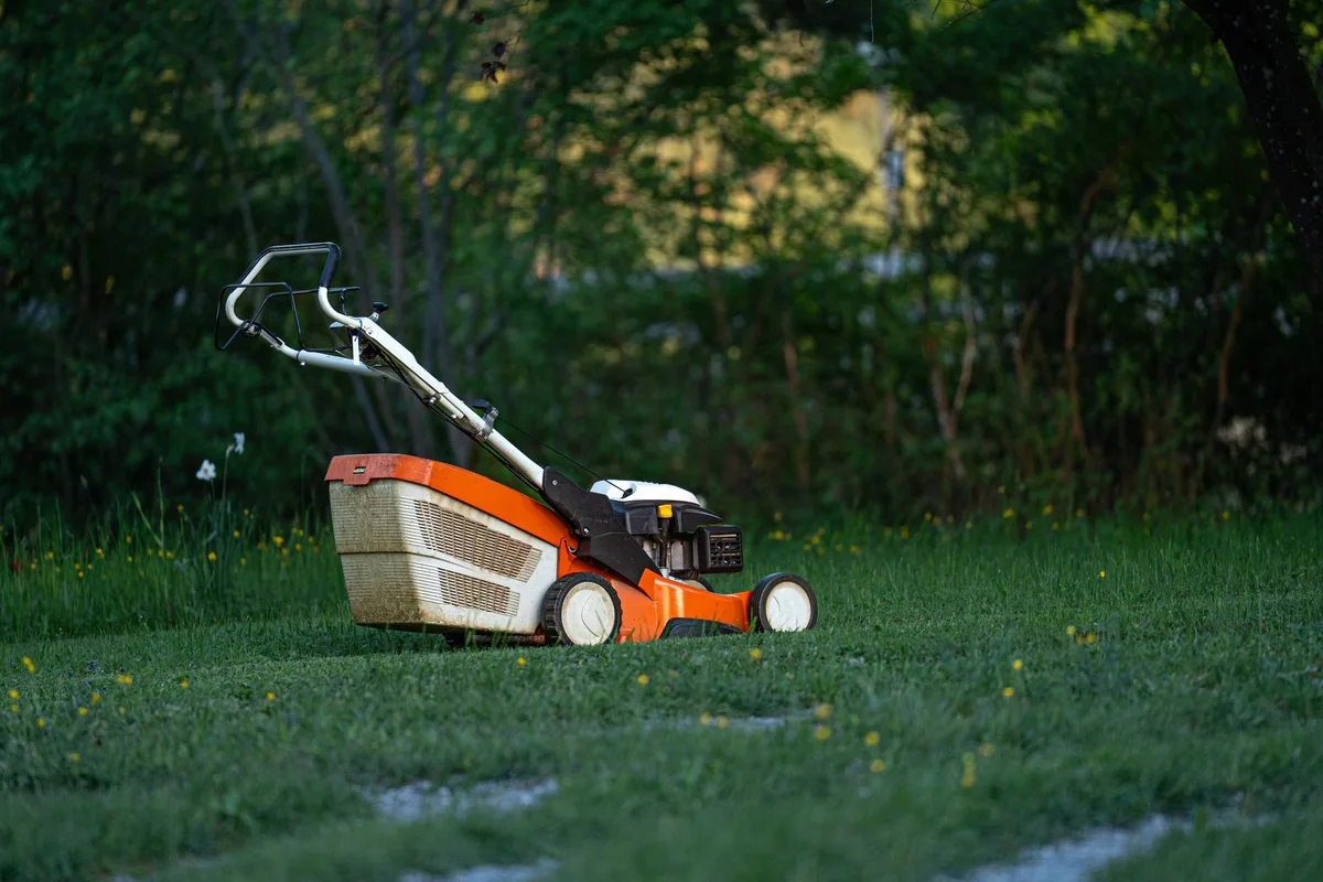 mowing height lawn