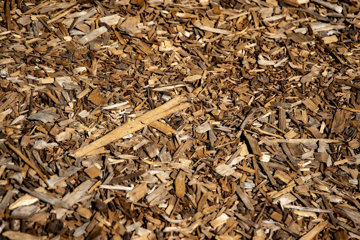 mulch garden bed