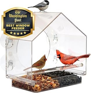 Nature Anywhere Window Bird Feeder