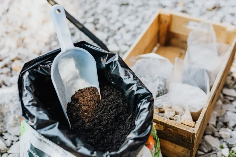 Organic vs Synthetic Lawn Fertilizer