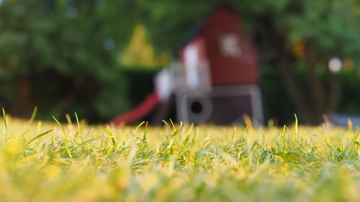 Pet-safe vs conventional herbicides