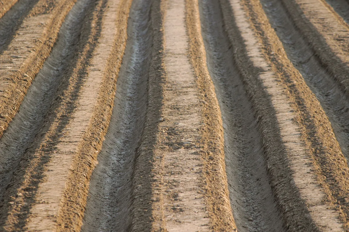 plow pan soil compaction layer