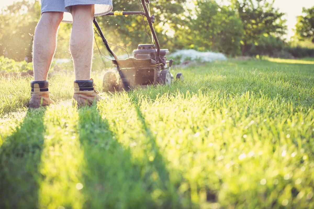 proper mowing technique dry grass