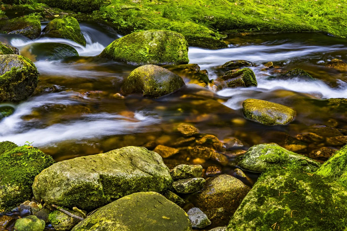 river rock placement