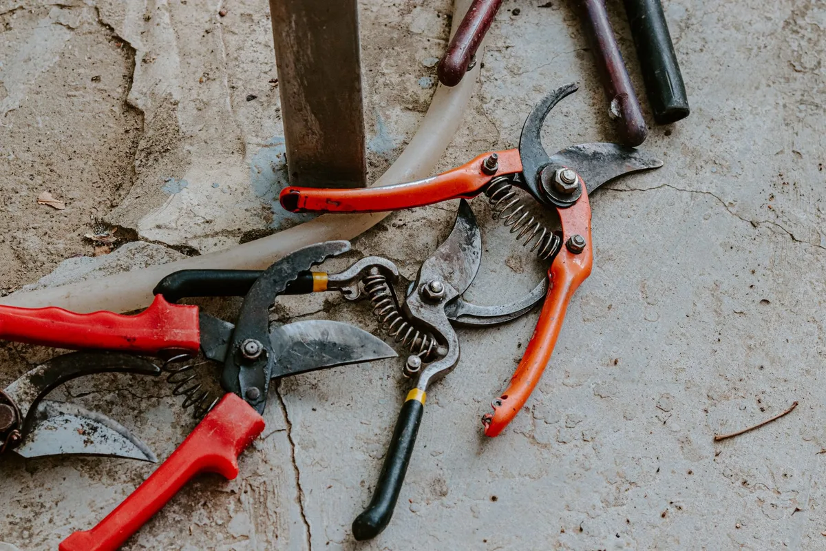 rusty garden shears close up