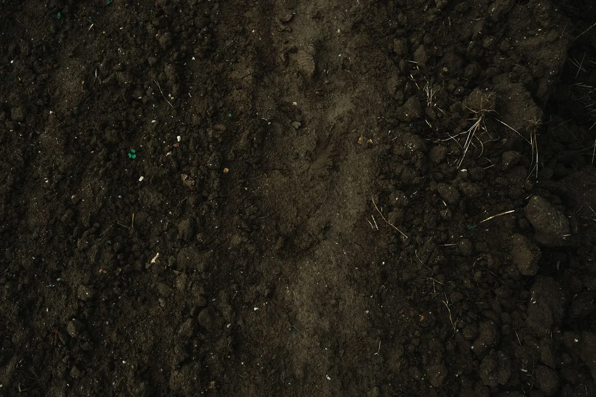 Screened topsoil close up