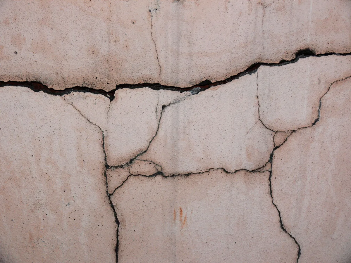 seal cracks foundation insect barrier