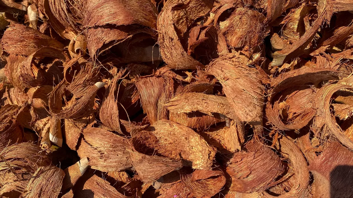 Sheet mulching with cardboard and mulch