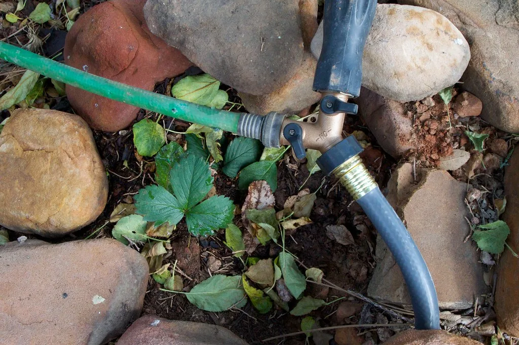 soaker hose vegetable garden