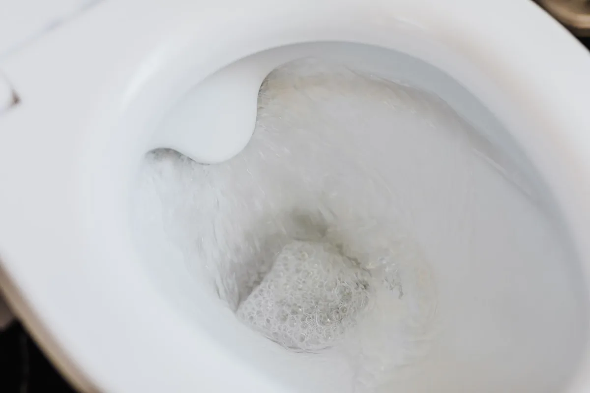 soap flush test sod webworm