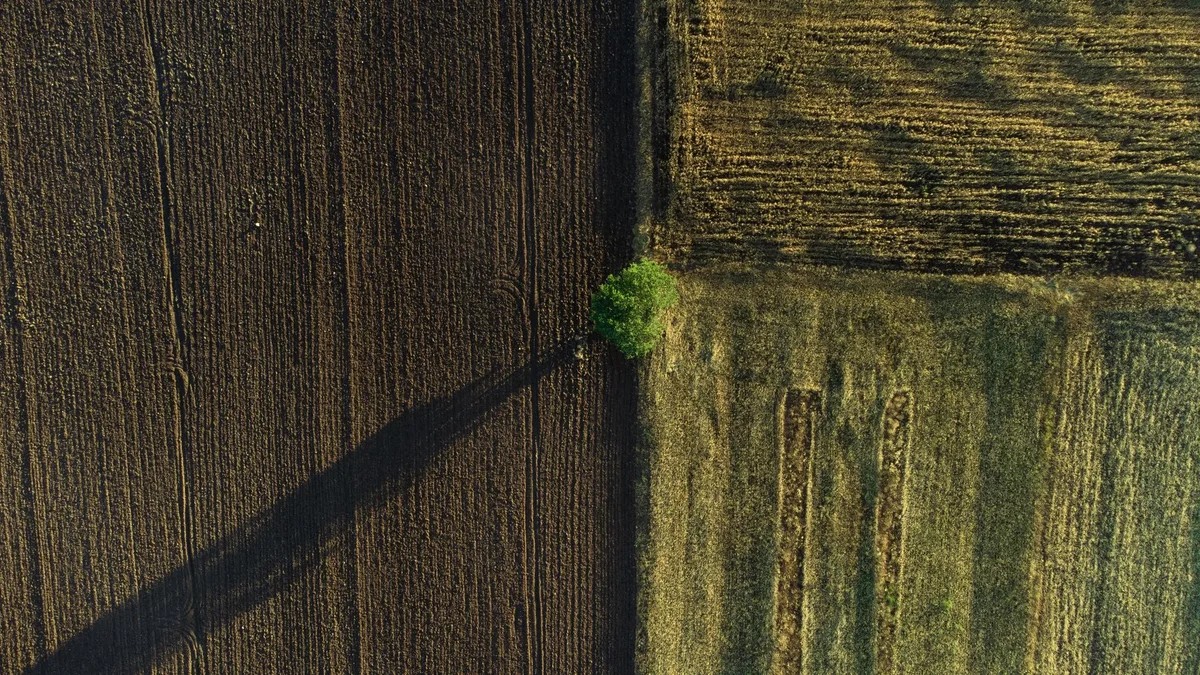 soil amendment decision tree