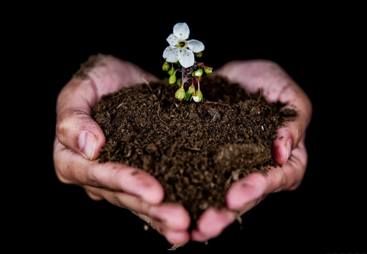 soil improvement maintenance guide