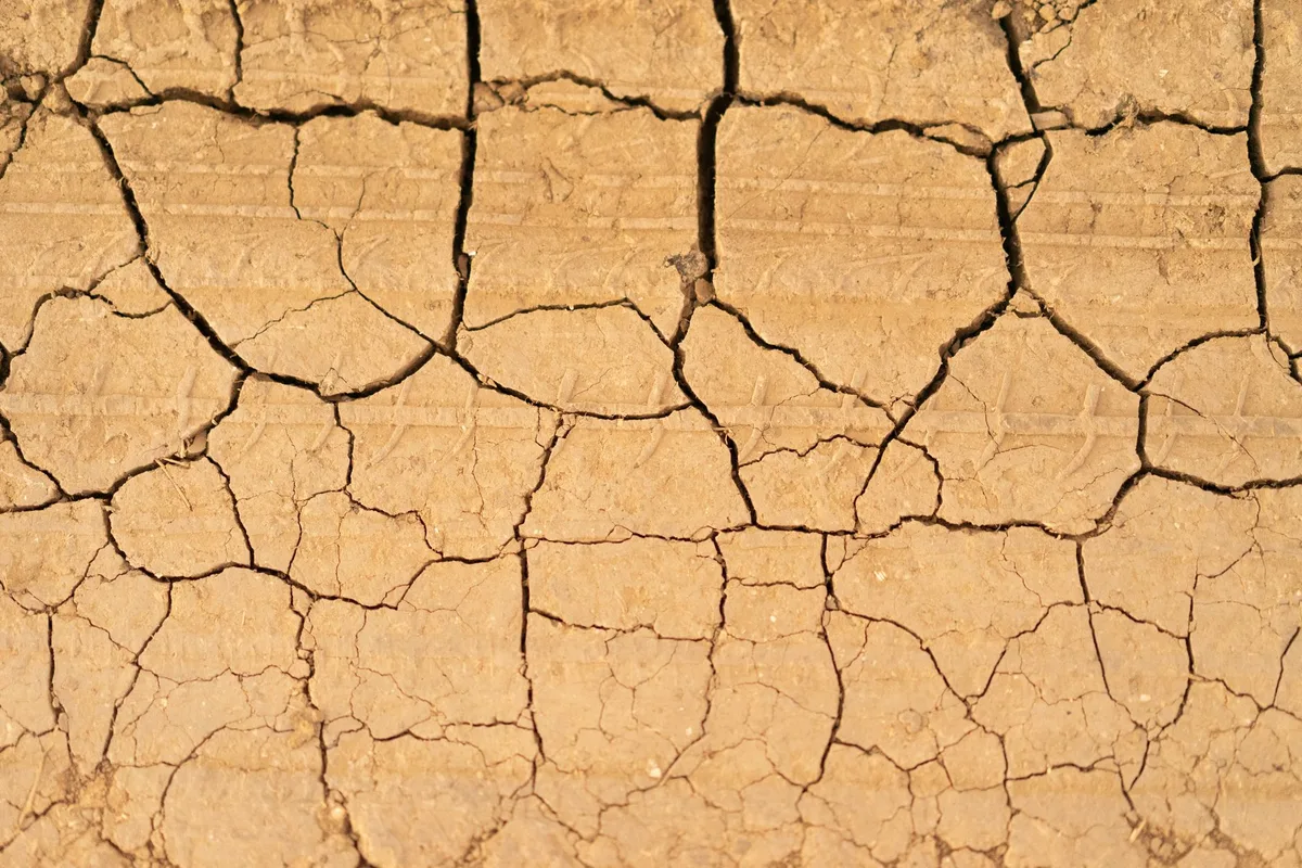 soil moisture temperature chart