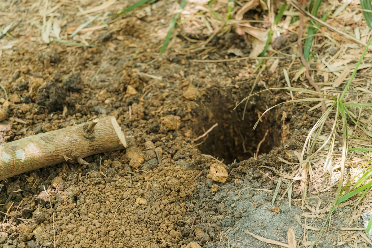 soil percolation test
