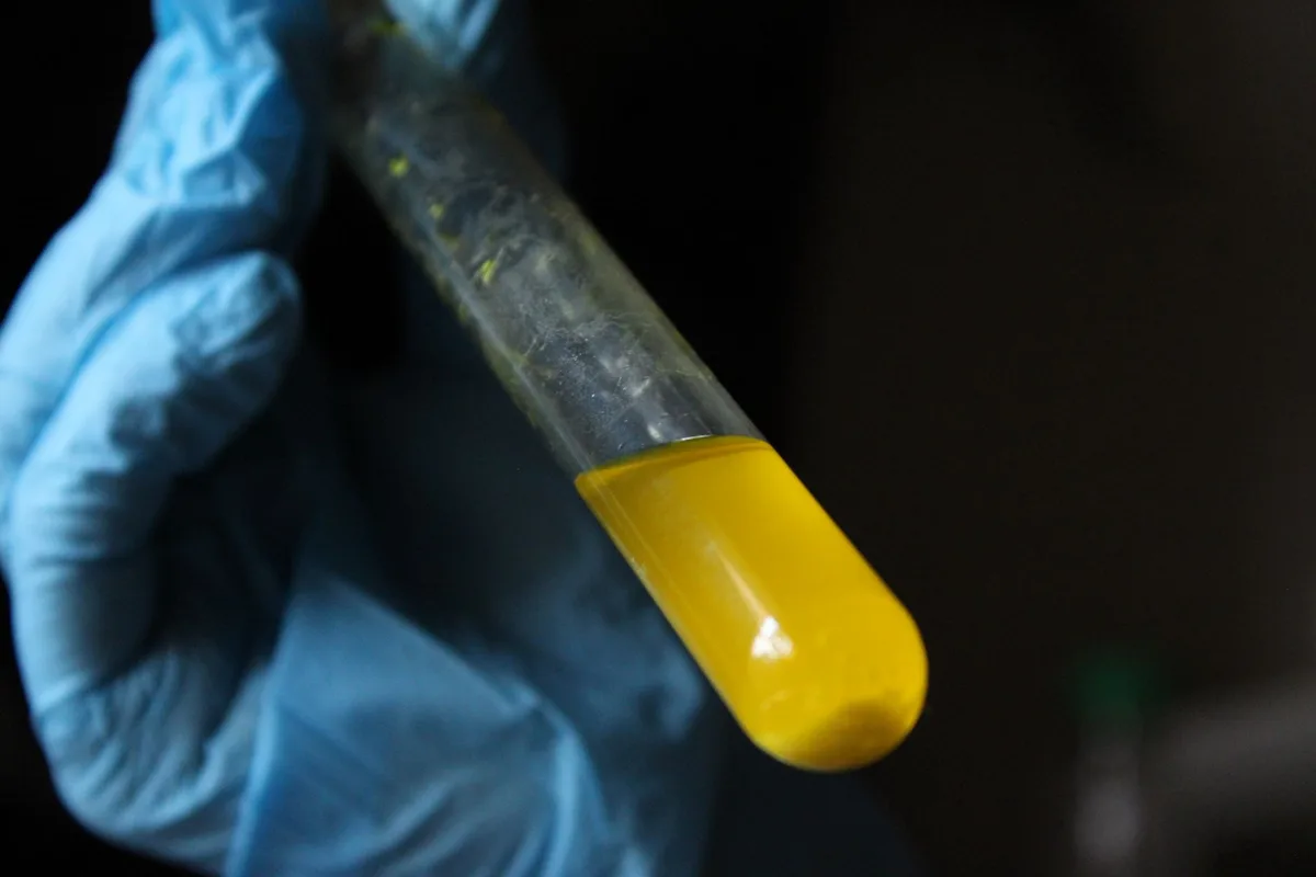 soil pH test