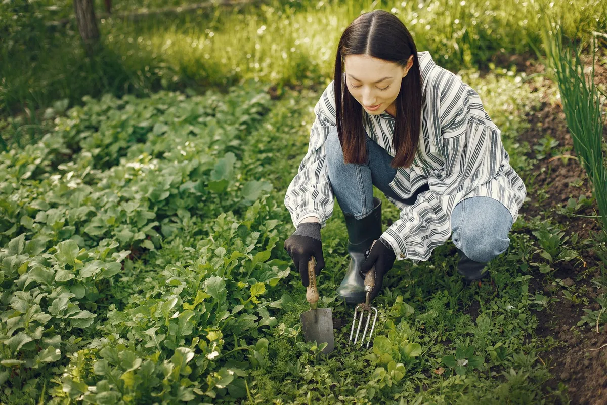 soil sample collection trowel depth