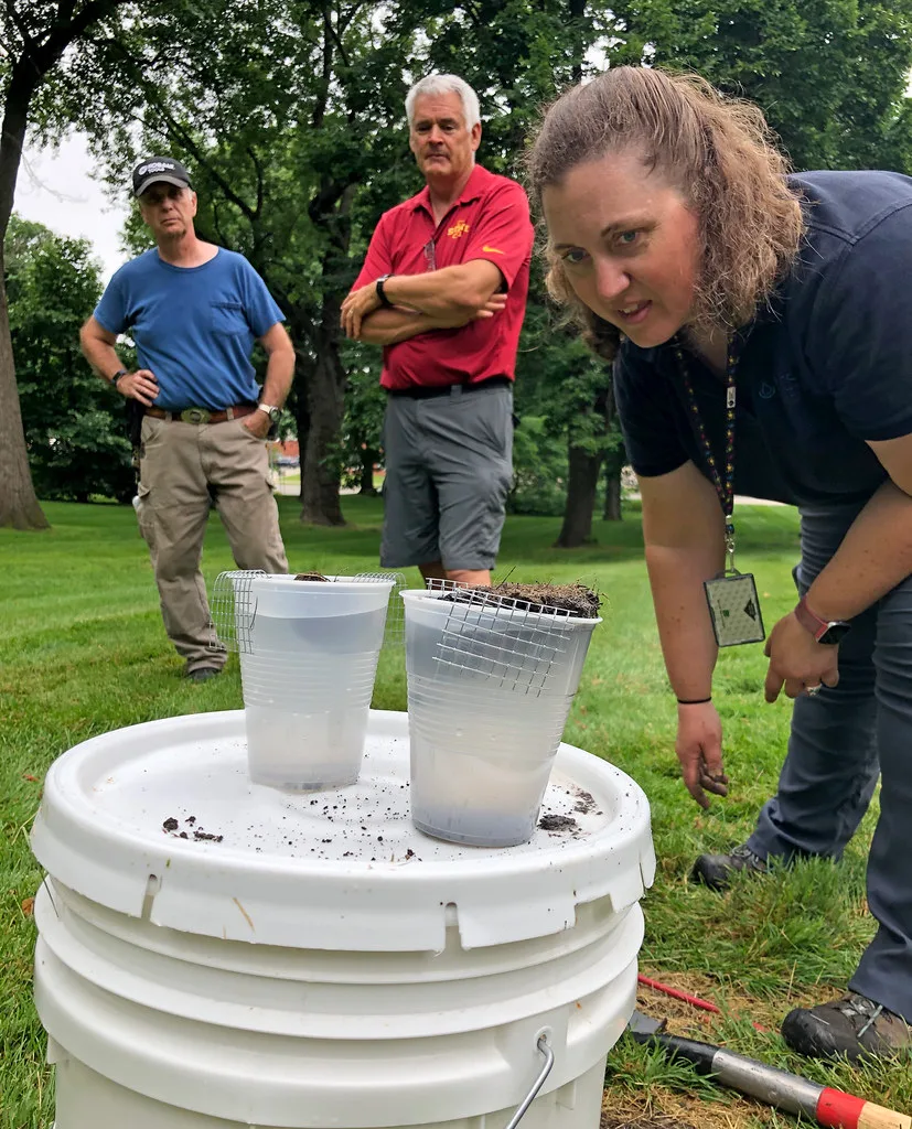 soil testing