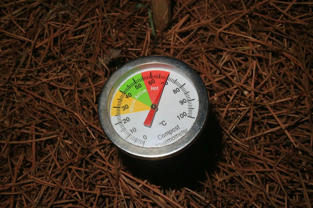 soil thermometer lawn