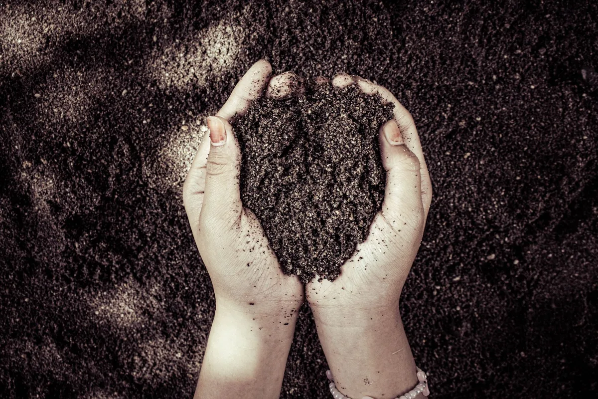 soil types for grass watering