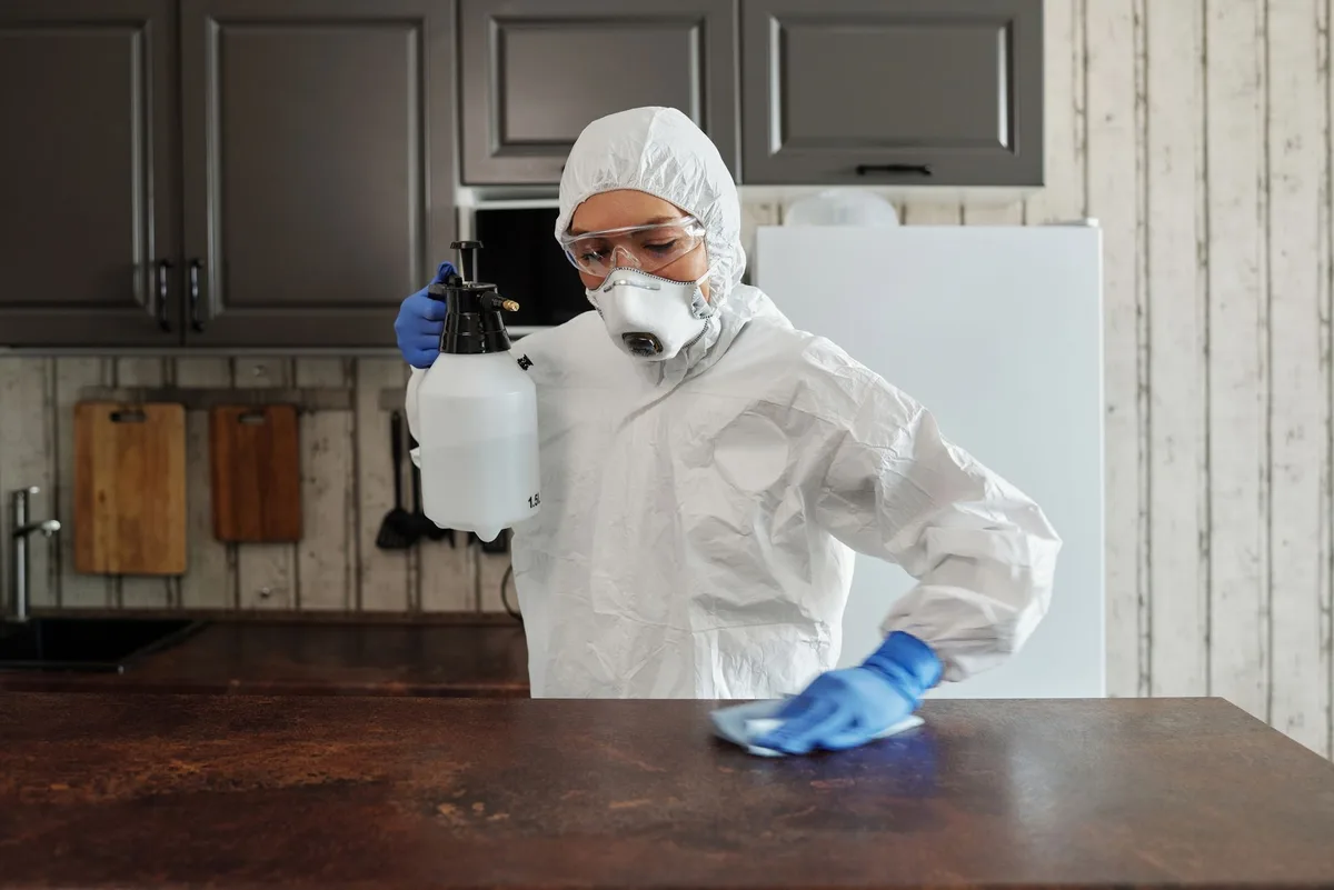 spraying ants on countertop mistake