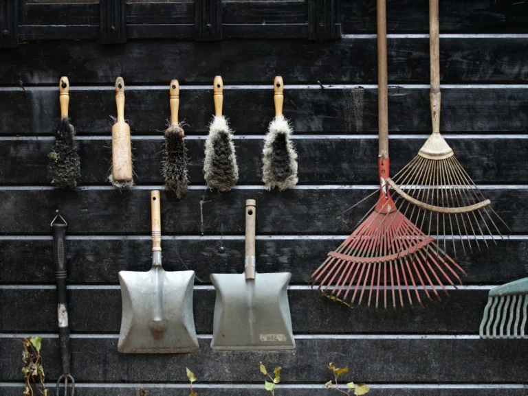 Spring Yard Cleanup Checklist
