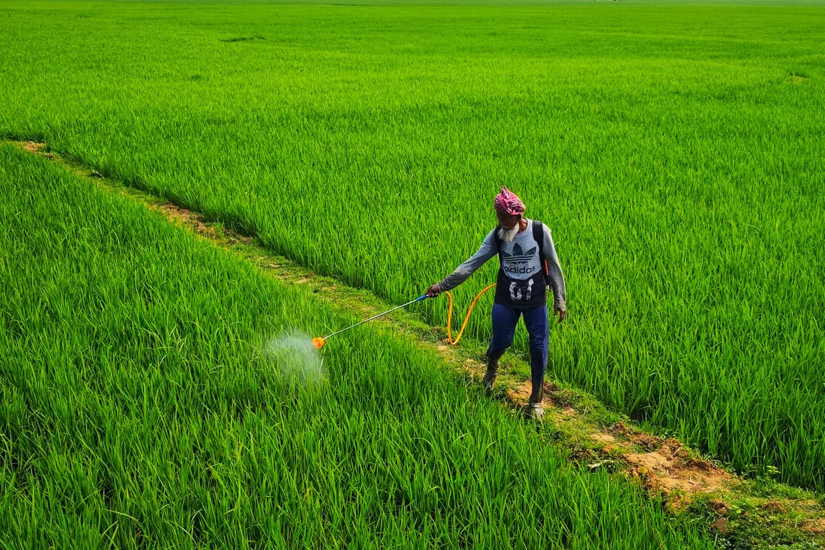 step-by-step pesticide application