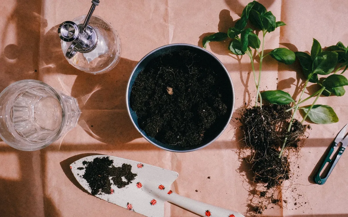 Systemic insecticide soil drench