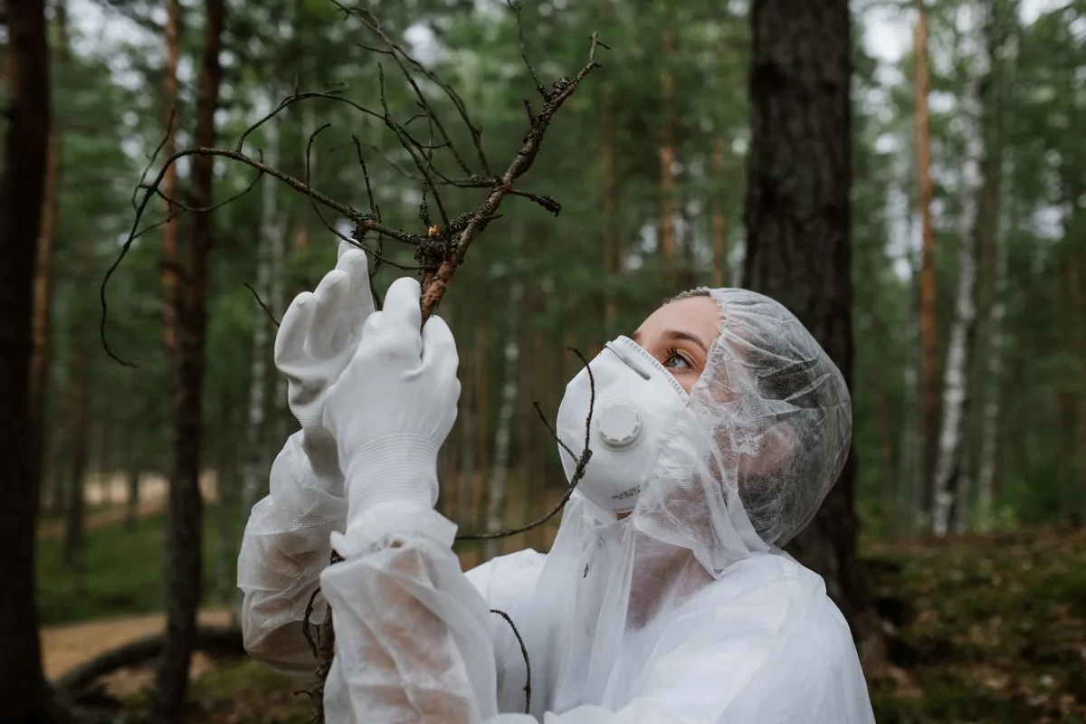 Tree Health Inspection Guide