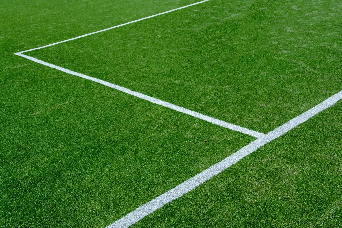 turfgrass selection decision diagram