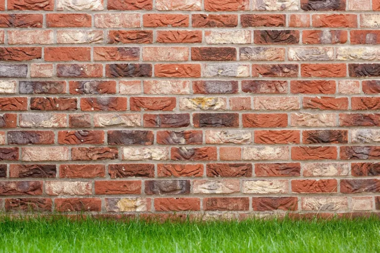 Uneven lawn surface with bumps and dips